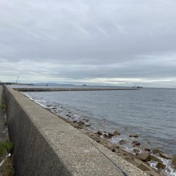 ちょい投げキス釣り