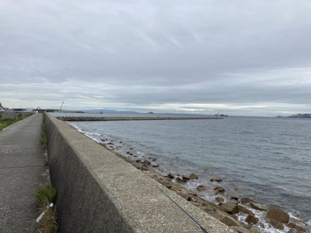 ちょい投げキス釣り