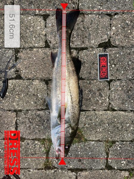 ゴールデンタイム✨