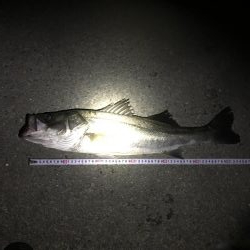 流れが効き出したら