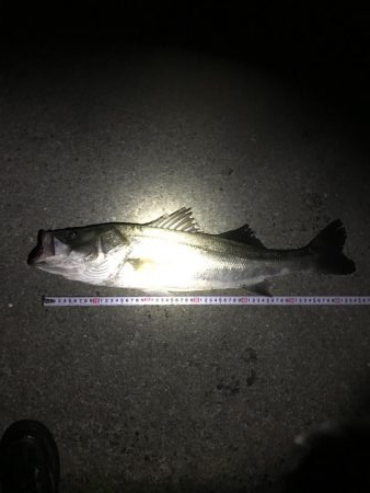 流れが効き出したら