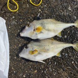 千葉港大潮の土曜日は朝から混んでた