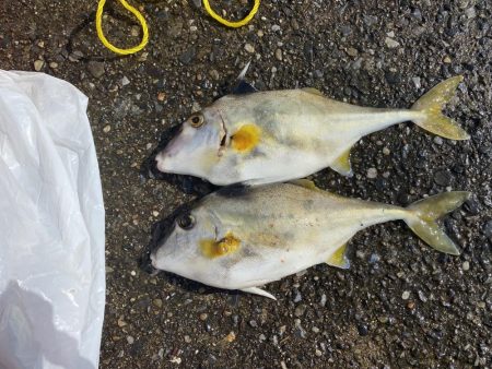 千葉港大潮の土曜日は朝から混んでた