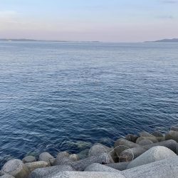 ショアジギング