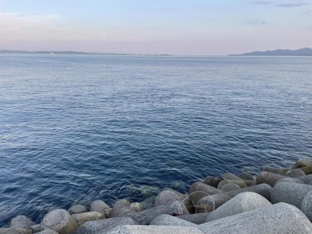 ショアジギング