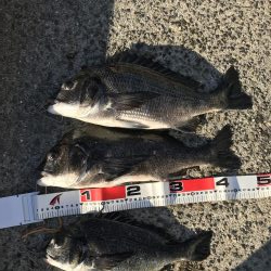 ビギナーズラック？