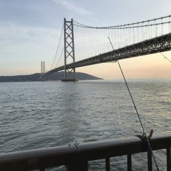 ゴミの中にイワシタイム