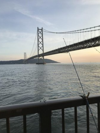 ゴミの中にイワシタイム