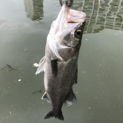 雨後のゴミに苦戦