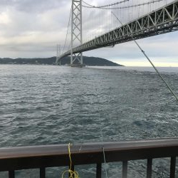 アジなしっ！イワシあり！