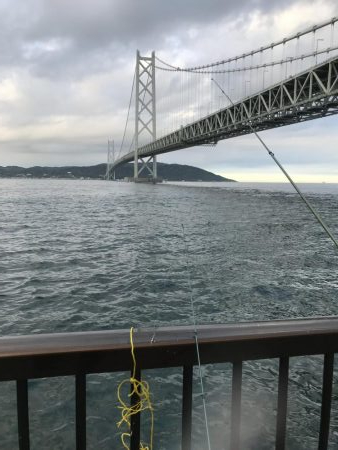 アジなしっ！イワシあり！