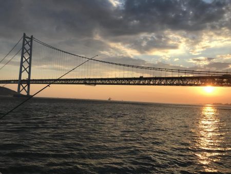 アジなしっ!イワシ多し