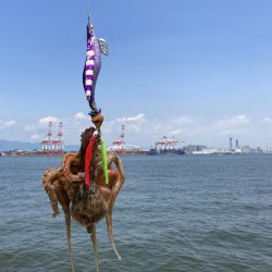 とりあえずタコ