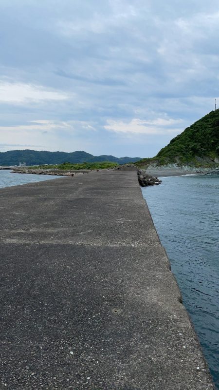 大潮 ライトショアジギング