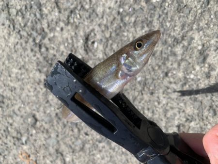 おちょぼ口のあいつ