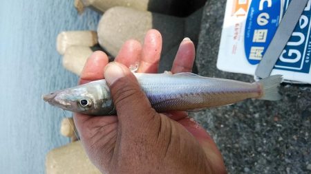 シーズン初の高砂釣行