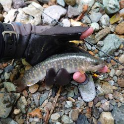 初めての渓流ルアー