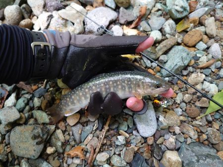 初めての渓流ルアー