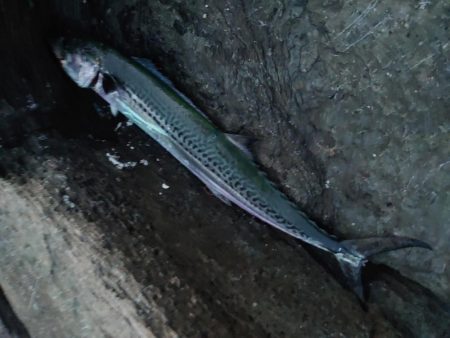 これからの季節厳しい！！