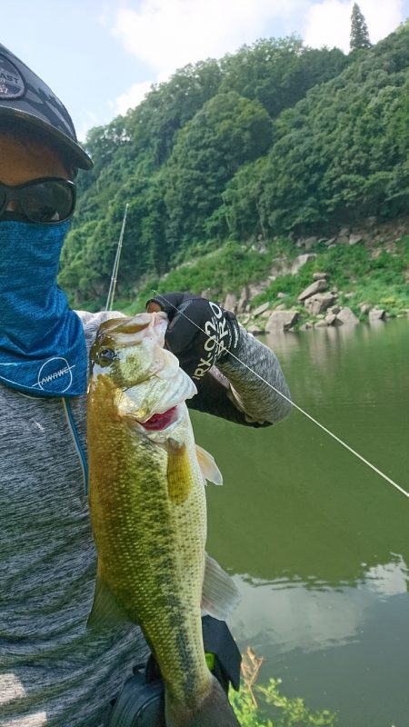 トップとボトム狙い