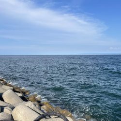 ショアジギング