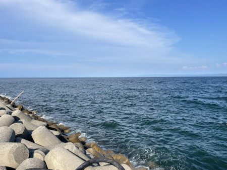 ショアジギング