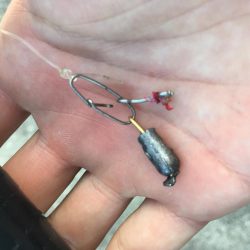 タコフィネス　タコエギノーロスト連続記録７０杯で潰える