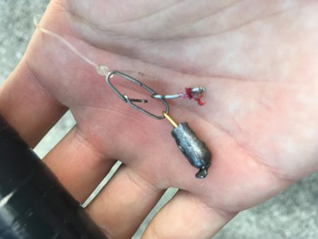 タコフィネス　タコエギノーロスト連続記録７０杯で潰える