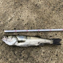 まさかの大物ゲスト