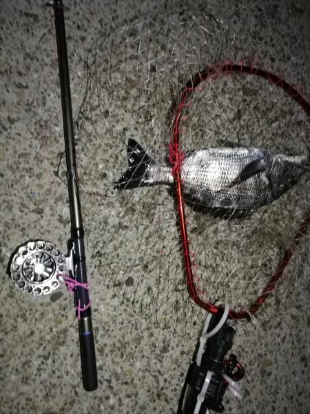 2021/06/30 南港ヘチ釣り