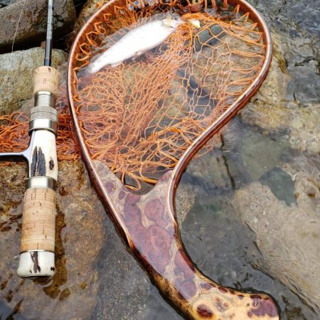 テレスコデビュー