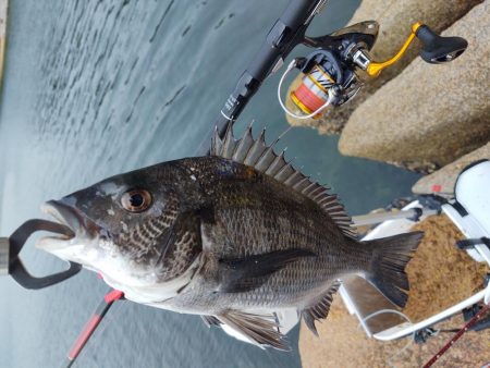 本浦海岸で磯釣り＆渚釣り