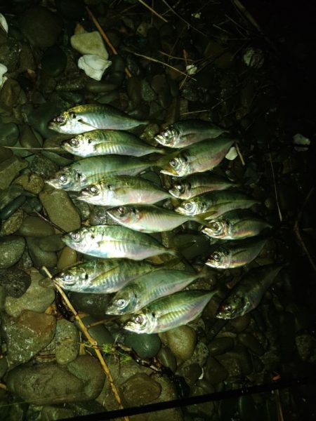 (尺アジ)フロートゲーム