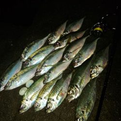 (尺アジ)フロートゲーム