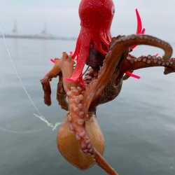 雨で少しは変わると思いきや