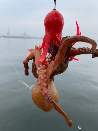 雨で少しは変わると思いきや