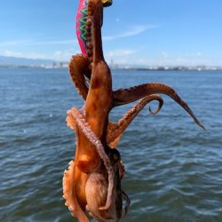 渋い?渋くない?どっち?