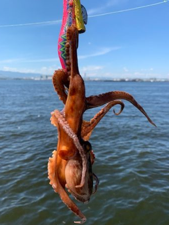 渋い？渋くない？どっち？