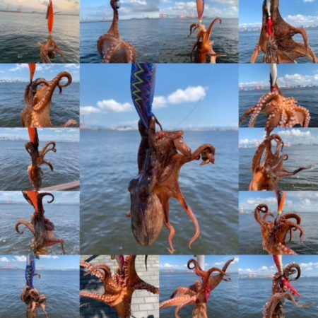 500gが2杯、400gが3杯、計23杯