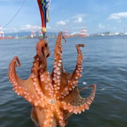 かなり入ってきています