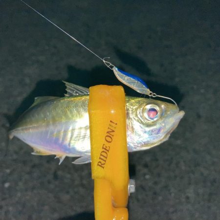 A.P.Pフィッシングガイドサービス　とき…