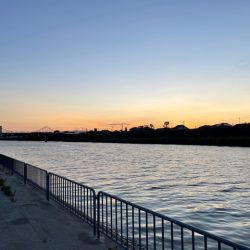 梅雨明け最初の釣行