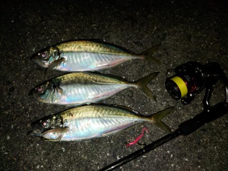 (尺アジ)フロートゲーム