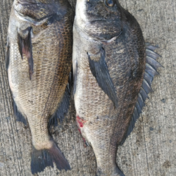 スライダー炸裂!