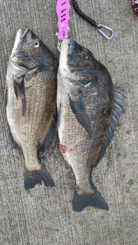 スライダー炸裂！