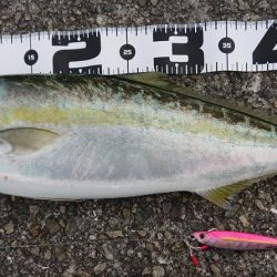 約9ヶ月ぶりに!