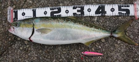 約9ヶ月ぶりに!