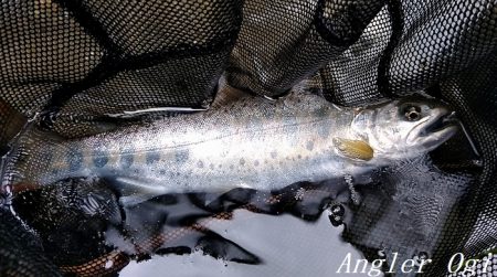 引原川本流にはロマンがある