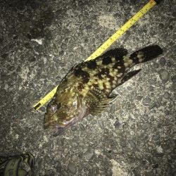 青イソメ流し釣り