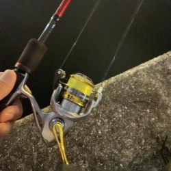 アジはどごに…